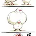 ギンバトさんと文鳥さん。  | 初丸うげべそ さんのマンガ | ツイコミ(仮)