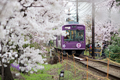 山楂果落了采集到风景@背景