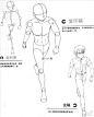 #绘画学习# 人体结构动态基础知识！看清人物内在的骨架结构，可以做到比例准确，动态生动！转需练习~ ​​​​