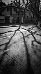 IMG_20150101_1