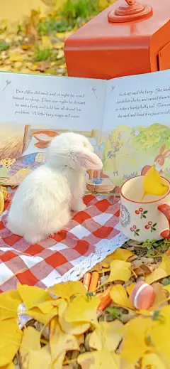 手机壁纸-bizihu.com - 2024-11-17T195539.973