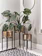 NEW Three Standing Brass Planters
