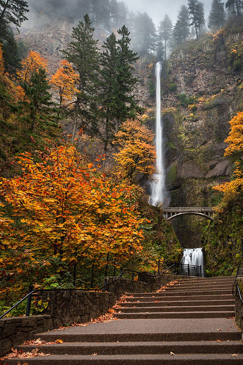 earthyday:

Multnoma...