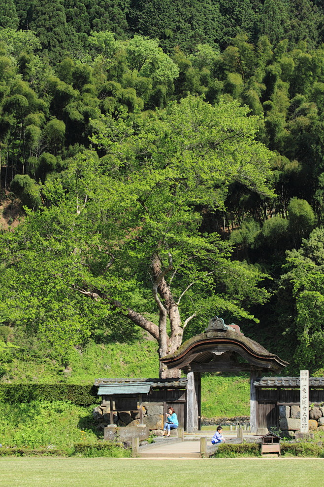 朝倉氏遺跡１