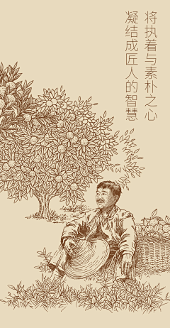 阿阿阿阿婷采集到茶叶包装