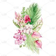 水彩花束，热带水果，鲜花和棕榈叶。