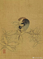陈洪绶的花鸟绘画 ​​​​