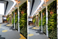室内设计 垂直绿化 立体绿化 建筑绿化 建筑外墙设计 景观墙 植物墙
项目名：汛美科技
来源： 深圳润城生态环境股份有限公司