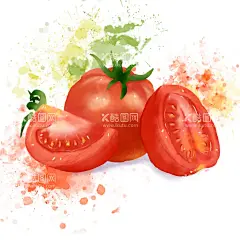 西红柿手绘  - 源文件下载【酷图网】免扣,素材,透明背景,插画,手绘,食物,西红柿,彩色,番茄,水果,果蔬