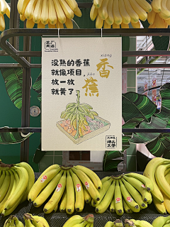 莫须有__采集到字体排版