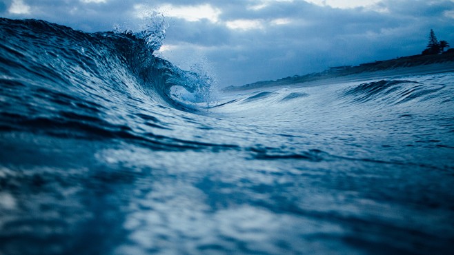 Photo by Tim Marshal...