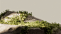 SURI :: Behance