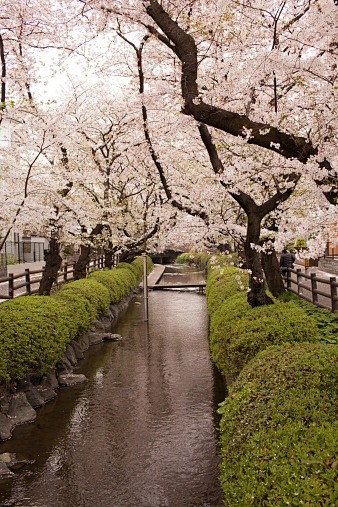 日本 ，川崎
Kawasaki, Ja...