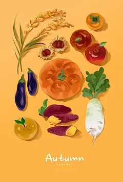 南瓜柿子 茄子地瓜 稻穗萝卜 彩色彩绘 秋日丰收 手绘插画插图设计PSD tid315t000040