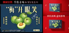 青梅青梅酒青梅煮酒青梅礼盒青梅包装手绘青梅青梅包装插画包装设计酸梅话梅果酒插画青梅果水果插画梅子青梅插画