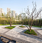 【景觀設計精華】——重慶鳳鳴山公園景觀/Martha <wbr>Schwartz <wbr>Partners