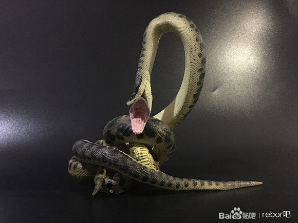 图片rebor2020泰坦巨蟒可动模型评测rebor吧百度贴吧