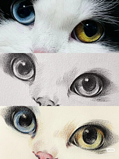 猫の猫采集到喵星人实绘