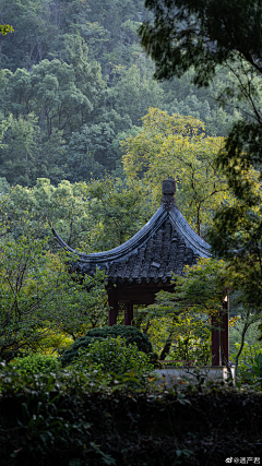 盛夏的海边采集到房屋建筑