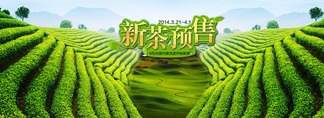 新茶预售
