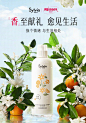 活动动态kv