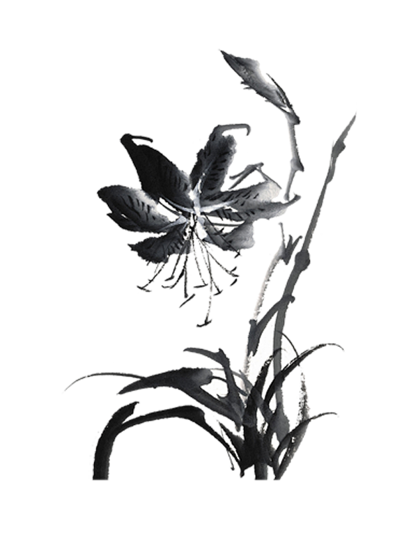 中国古风水墨花手绘水彩植物花卉装饰 免抠...