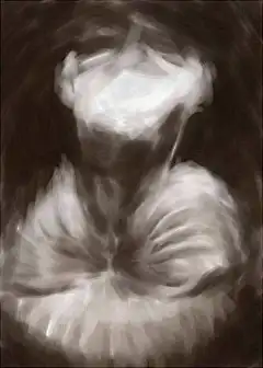 番梨  的插画 白天鵝
