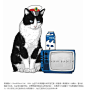 名猫-黑猫警长