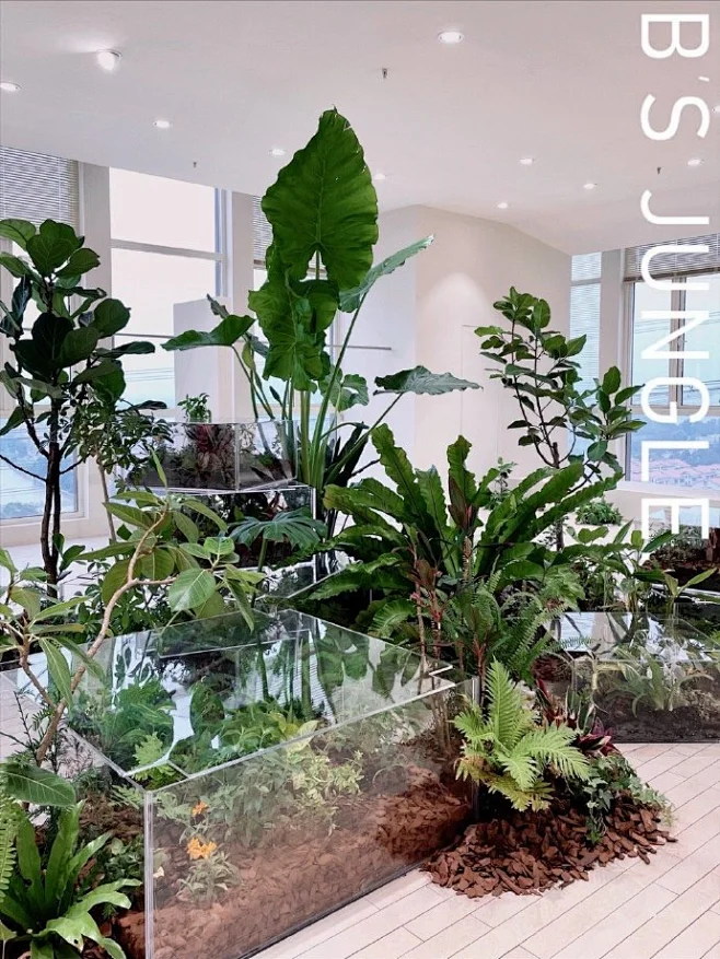 植物装置造景又来啦 #植物设计##室内植物##软装设计# -花瓣网