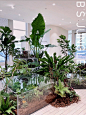 植物装置造景又来啦
#植物设计##室内植物##软装设计# ​​​​