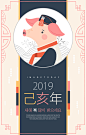 2019 猪年 新年 海报 扁平风