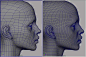 人体布线-CG模型网（cgmodel)-专注CG模型