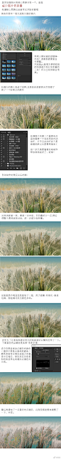 是之前说好的照片的绘画感处理教程！
非常之离谱，几乎看不出来是照片 ​​​​