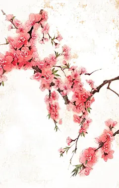 精美插画花鸟古风