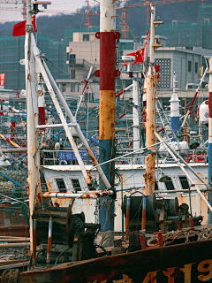 在河之洲i采集到海鲜