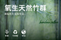 竹纤维