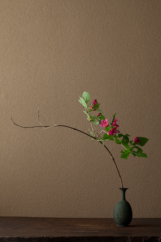 2012年6月13日（水）
花の色は白か...