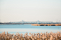 #简约背景# #空间感# #简洁# #空旷# #无人# #背景图# @六余