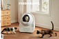 Cat cat toilet Pet Supplies & Pet 产品摄影 宠物用品 猫厕所 猫咪 电商摄影 静物摄影
