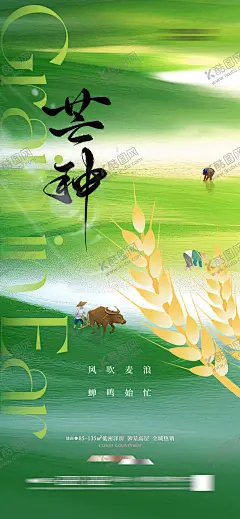 芒种海报 【酷图网】海报,二十四节气,芒种,麦穗,农耕,插画,