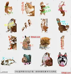line贴图表情包Hinoki和Shirakaba4 |Hinoki and Shirakaba4 猫和仓鼠|cat and hamster@飞天胖虎