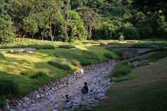 双份长颈鹿采集到滨水-栈道-湿地