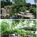 [中国十大名园 你去过几个呢] 【中国十大名园】中华大地，物华天宝，人杰地灵，上下五千年，中国的十大名园就是其中的奇葩，它们像一颗颗璀璨的明珠，将神州大地点缀得格外绚丽 夺目。1.北京颐和园2.北京圆明园3.苏州网师园4.无锡寄畅园5.扬州个园6.苏州拙政园7.浙江海盐绮园8.上海豫园9.广东顺德清晖园10.河北保定古莲花池。
