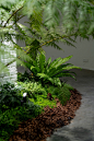 物候自然展厅，重庆 / 物候设计 : 我们在办公室造了一个植物园