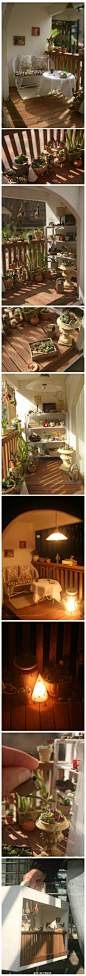 微花园（微缩+园艺），是一座会呼吸的的阳台花园。相当精致~~~ 来自|西树 @DIY设计我的家