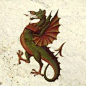Wyvern dragon: 