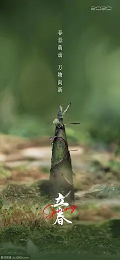 二十四节气立春海报参考