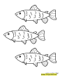 数一数有几条小鱼？小鱼卡通儿童简笔画-红豆饭小学生简笔画大全