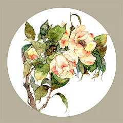 浮岛鲸  的插画 日绘水彩小速涂【4P】