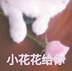 【图片】回复：熊猫头表情包专辑，给大家安排上了_表情包吧_百度贴吧
